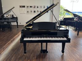 Steinway&nbsp;and&nbsp;Sons